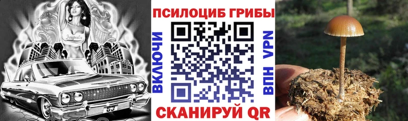 Псилоцибиновые грибы ЛСД  хочу   Вичуга 